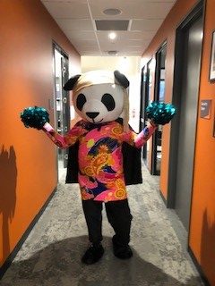 Panda at Disco